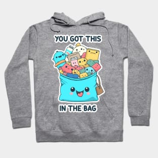 You Got This In The Bag Hoodie